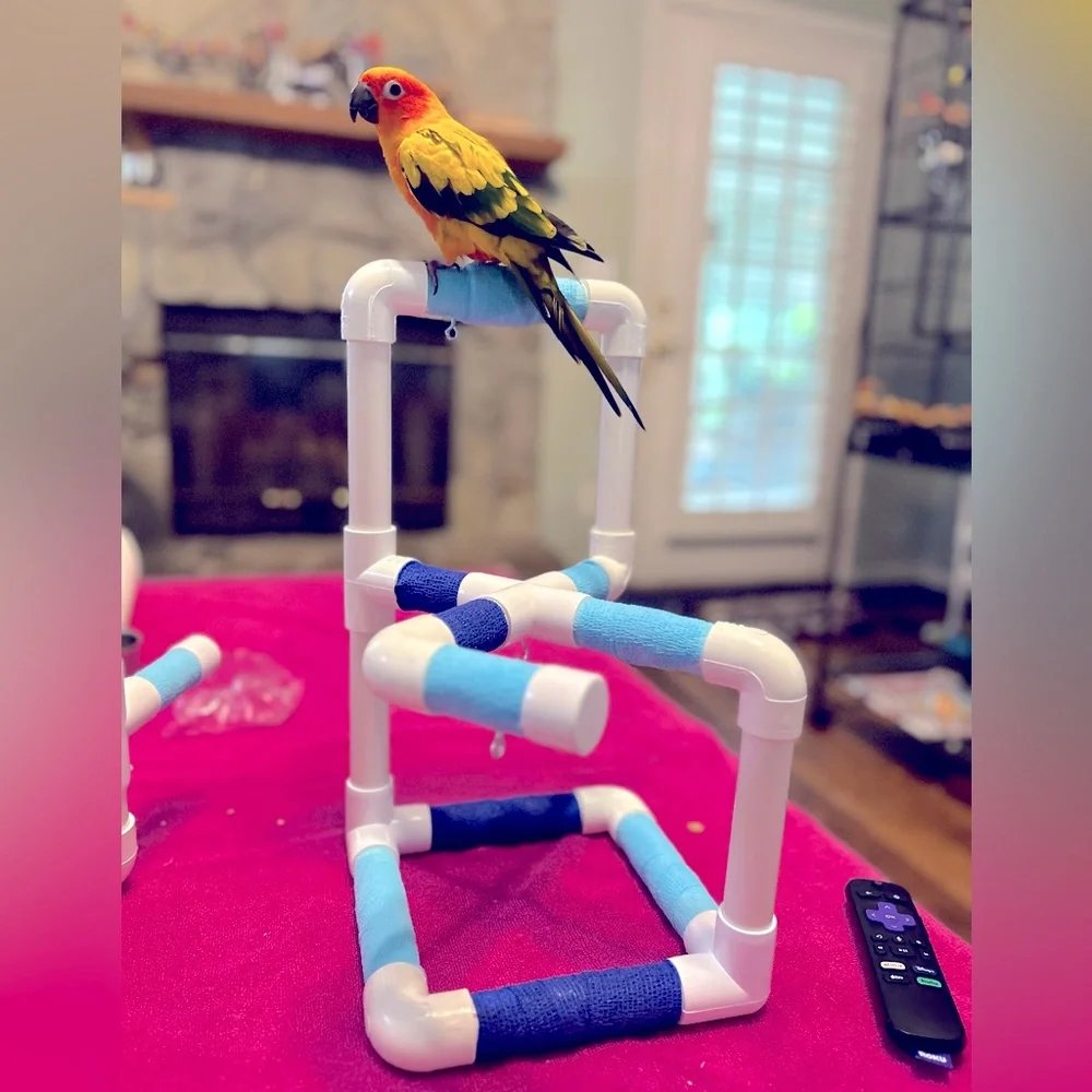 Handmade Bird Perch/Play gym